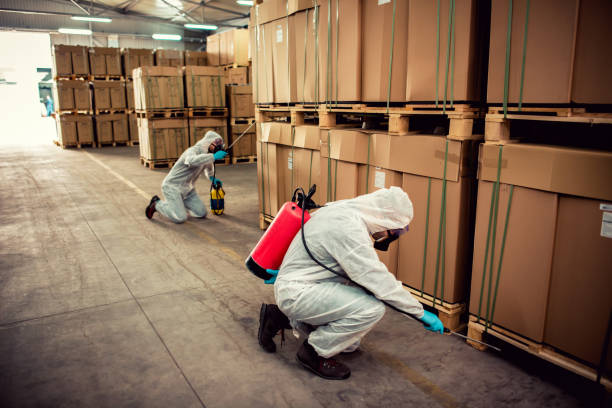 Best Termite Control Services  in Colbert, OK