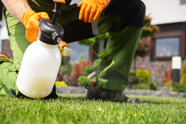 Best Insect Control  in Colbert, OK