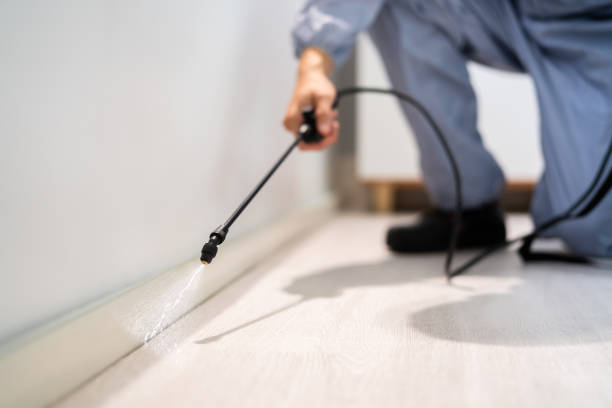 Best Wasp Removal Services  in Colbert, OK