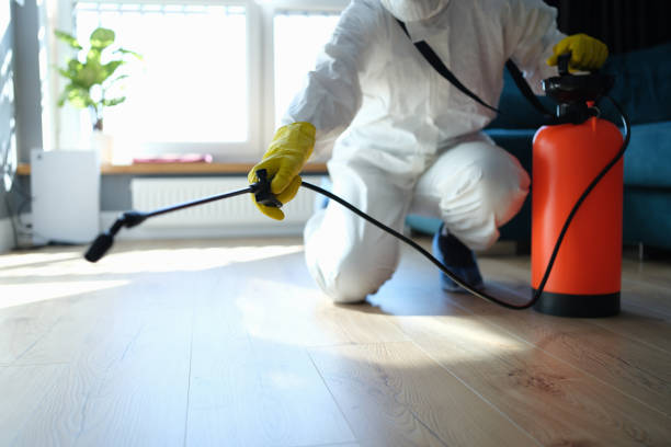 Best Local Pest Control Services  in Colbert, OK