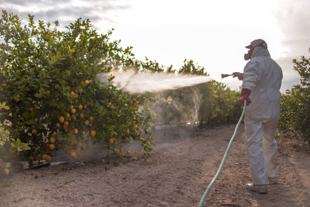 Best Commercial Pest Control Services  in Colbert, OK